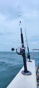 Moulinet Daiwa Saltiga — Pêche sportive en mer