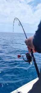 Moulinet Daiwa Saltiga — Détail du mécanisme