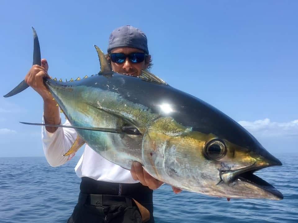 Pêche au thon rouge dans le Golfe de Gascogne