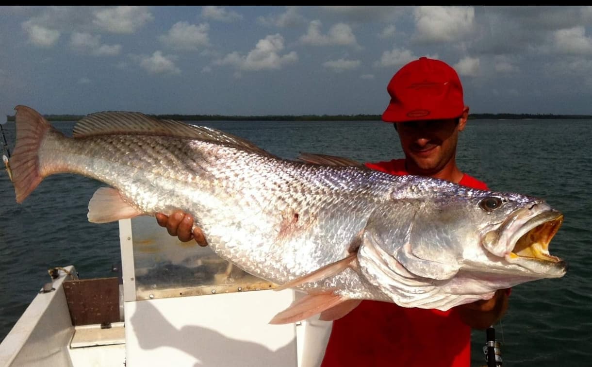 Prise de pêche en Guinée-Bissau