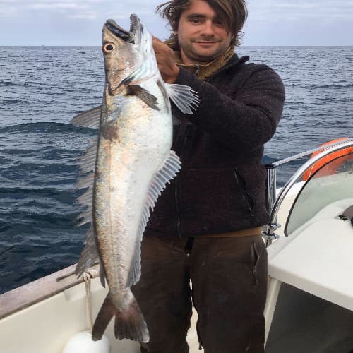Pêche au Merlu au Pays Basque